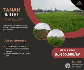 SAWAH DIJUAL – LOKASI STRATEGIS DI BOGOR!