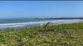 Tanah Dekat Pantai  Pandeglang Banten