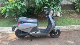 Oyika, NIU tahun 2022