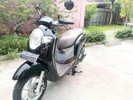 Scoopy pajak hidup
