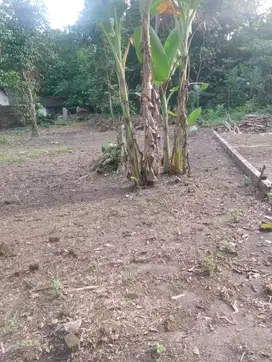 TANAH DEKAT LAPANGAN KRANDEGAN KEBONSARI