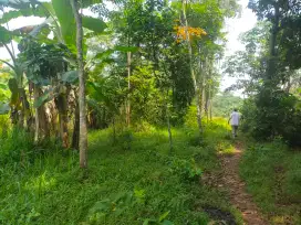 Dijual tanah lokasi dekat pacuan kuda tapos