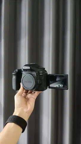No rewel | DSLR CANON 80D 70D 60D CANON DSLR 70D 60D