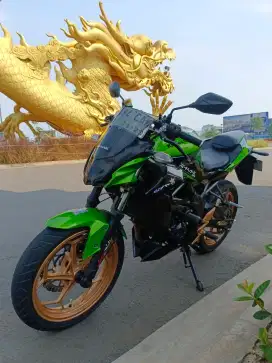 Kawasaki Ninja Z250SL 2014 lengkap pajak hidup