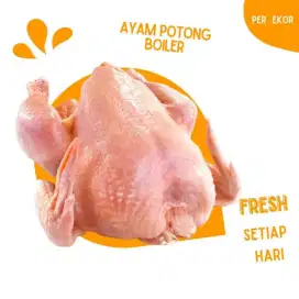 Ayam potong fresh