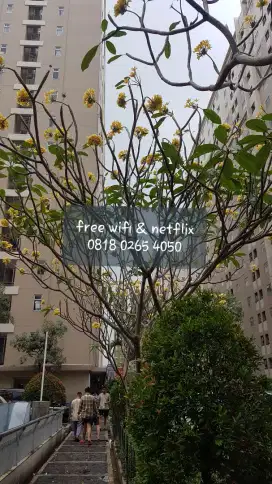 Transit dan harian ready sewa Apartemen Kalibata City 2BR Jakarta