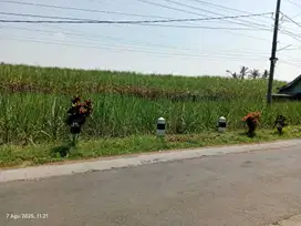 TANAH DATAR SEBELAH PERUMAHAN LOKASI TAMBAK SARI PAKISAJI MALANG