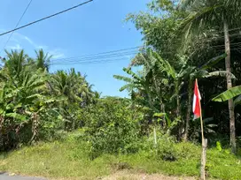 Tanah murah dekat Bandara YIA Kulon Progo