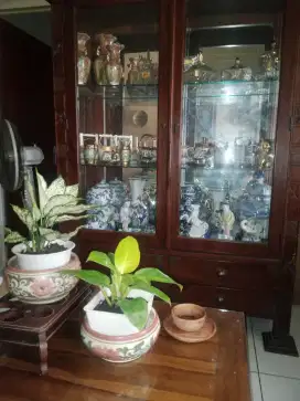 Jual CEPAT & MURAH (NEGO ) Lux asli Jepara kondisi mulus siap pakai
