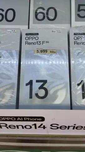 OPPO RENO13F 5G