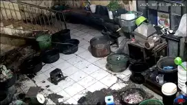 Cari pegawe untuk toko santan