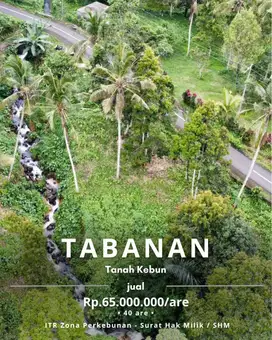 Tanah Kebun Dengan Aliran Sungai Di Tengah Tabanan Bali