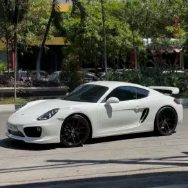 Porsche Cayman 981 NIK 2014 low odo full opt