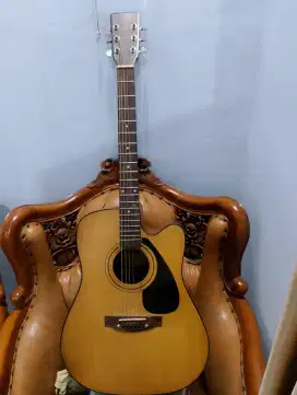 Jual gitar Akustik- Elek Ibanenz DG-04
