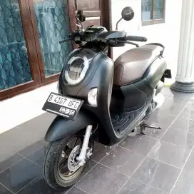 Honda Scoopy 2025 prestige