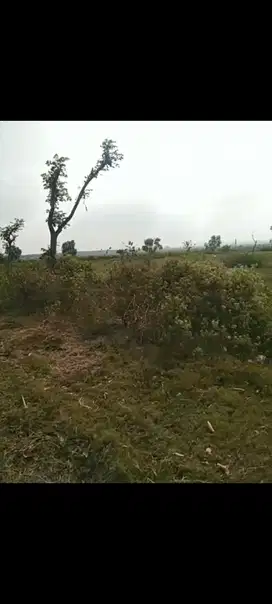Lahan usaha luas 10 HA harga 400 ribu permeter di Jatikalen, Nganjuk