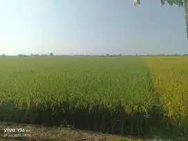 Dijual Lahan Zona Pemukiman Cocok Untuk Perumahan