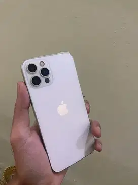 12 pro wifi only