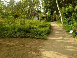 Dijual tanah Pekarangan Strategis di sidoluhur godean
