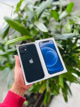 iphone 12 256 ibox