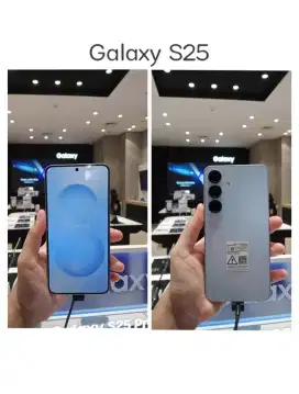 Samsung Galaxy S25 12/256Gb