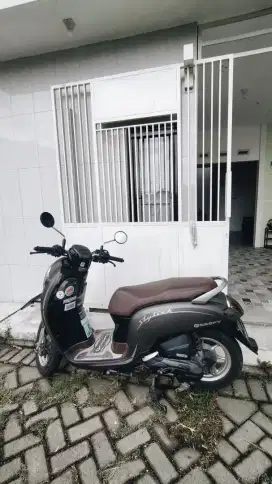 Scoopy 2018 muluss