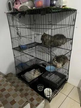Lepas kandang, tas, dll
