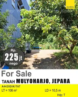 DIJUAL TANAH DI MULYOHARJO JEPARA A4420