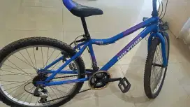 Sepeda Anak Polygon Cyclon 100