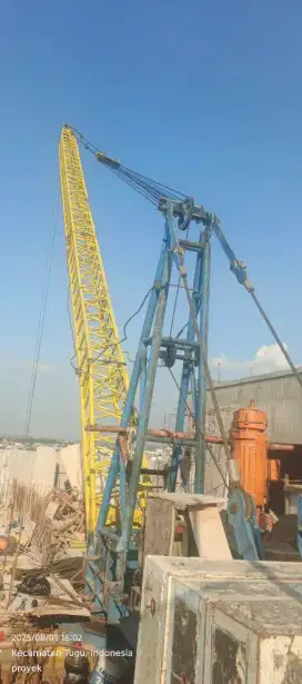 Portable crane mini