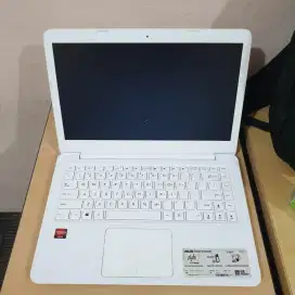 ASUS VIVOBOOK E402Y-