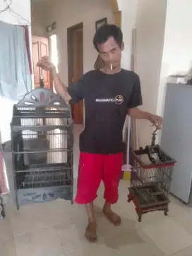 SANGKAR KENARI BONUS SANGKAR KOLIBRI