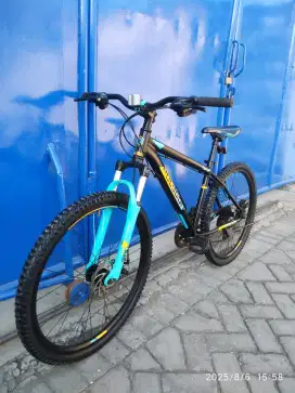 MTB Polygon Monarch 5