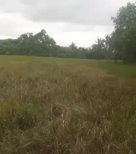 Tanah dekat Pantai Tegalambo Kerambitan Tabanan Bali
