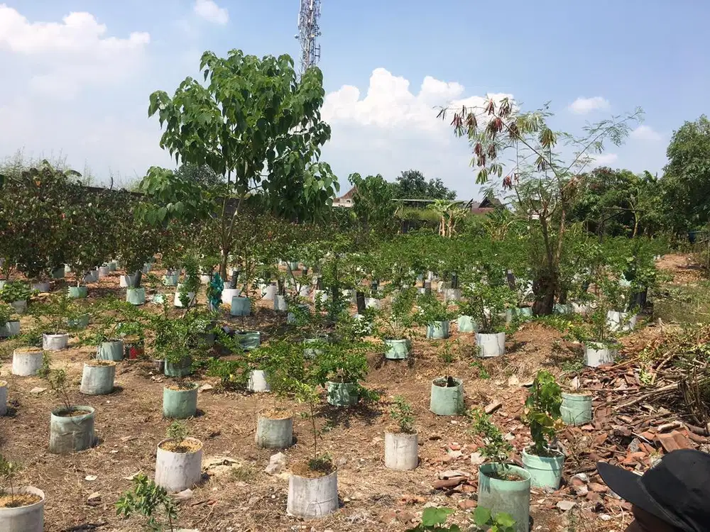 Tanah depan jalan raya serta perempatan