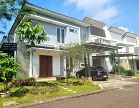 Cosmo The Icon BSD