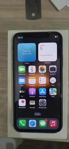 Iphone X 256 GB