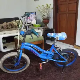 Sepeda Anak United 16 inch