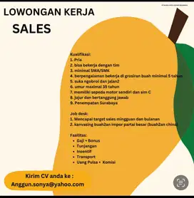 Lowongan pekerjaan sales