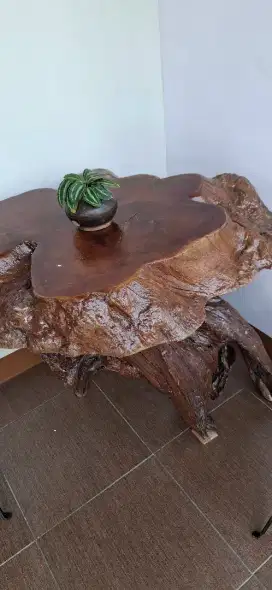 Meja Fosil Kayu Taman