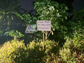 Dijual Tanah di Prabumulih