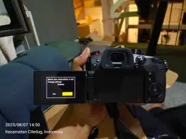 PANASONIC Lumix GH5 II Mirrorless Camera