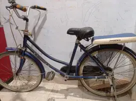 Sepeda Phoenix 26 inch
