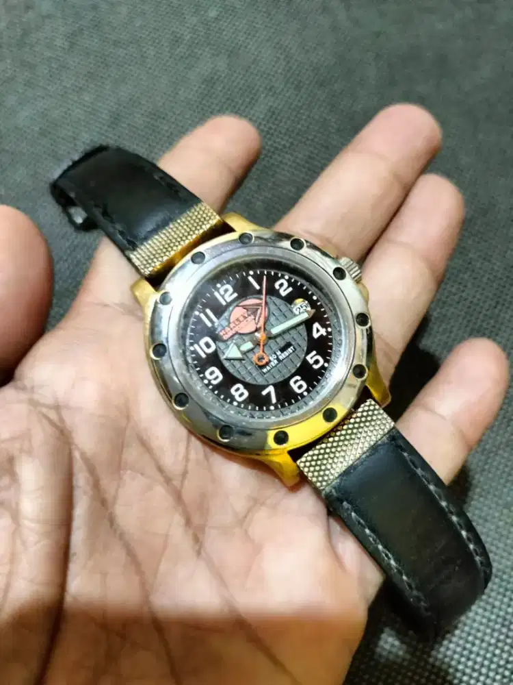 HD watch Harley Davidson (original)