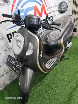 Honda Scoopy Stylish 2021