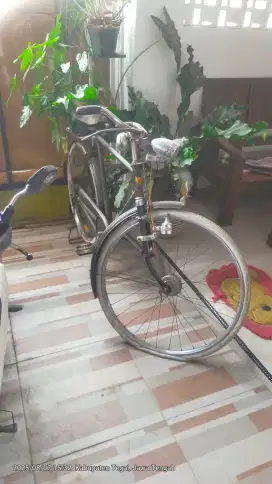 Sepeda ontel laki laki