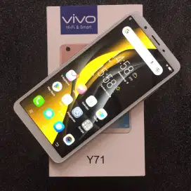 Vivo Y71 Gold Normal Nominus