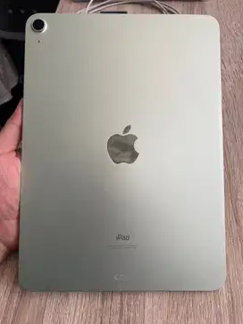 Ipad Air 4 Wifi only