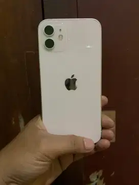 iPhone 12 128Gb Allop