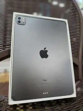 Ipad Pro 11 inch Gen 2 256 GB mulus fullset